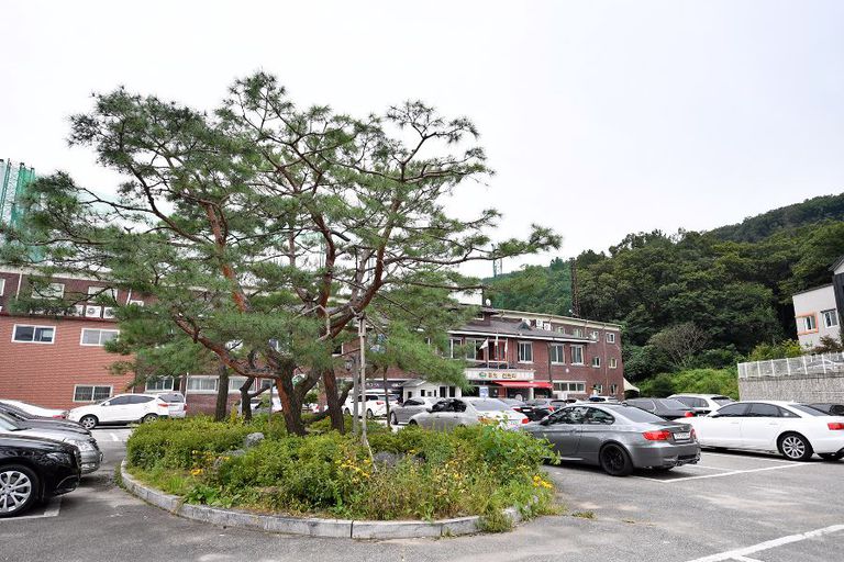 주차장